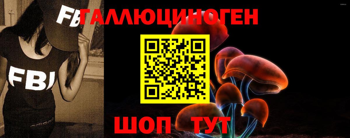Псилоцибиновые грибы мухоморы Каменск-Шахтинский