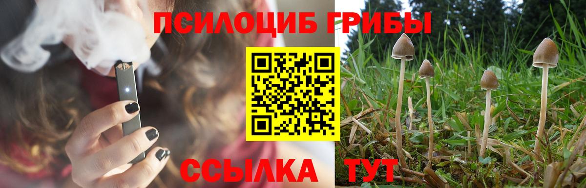 Галлюциногенные грибы MAGIC MUSHROOMS  Галлюциногенные грибы MAGIC MUSHROOMS  Каменск-Шахтинский  Вход с VPN 